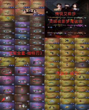 双幻神宠儿12皮带音❤艾莉莎-灵眸5传说❤顶配副手❤冠军满套-微特刃3❤G36风神凤魄四圣兽❤3蝶刃_穿越火线_电信区_上海一区