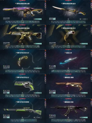 ♥可排位♥12W库存♥21冠军套♥24冠军套♥显卡套♥威龙套♥电玩套♥莲花套♥掠夺套♥般若2.0套♥_无畏契约_WeGame_WeGame