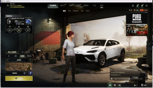 兰博基尼SUV跑车【成长型✌无信号M416】猛虎SLR✌梅花M762✌无慈悲K2✌幸运M24✌迷彩9_绝地求生_全区_全服