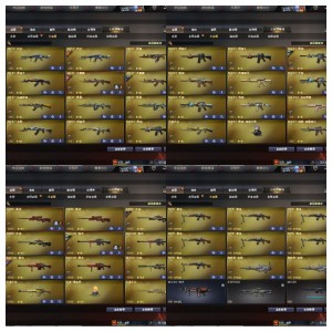 【英雄-97 王者-25】【可排位】幻神+usp雷暴幻兽套❥金色蔷薇❥六盘六烈蝴蝶炼狱❥王者之光_穿越火线_电信区_安徽一区