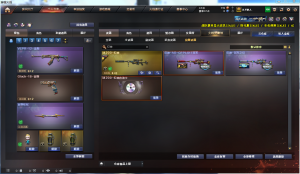 宙斯套AG冠军幻神音效卡双皮肤6烈蝴蝶6盘炼狱QBZ白虎裁决世冠套十冠军满皮肤满COP挑战满套装连杀_穿越火线_电信区_湖南一区