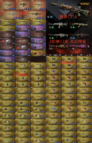 3幻神N9宠儿12皮-双音卡❤幻兽套x5❤暗裔1314-圣灵梦魇5传说❤顶配副手❤QBZ枪娘裁决皮_穿越火线_电信区_上海二区