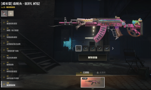 阿斯顿马丁跑车✌满级火麒麟✌无重力MP5K✌魔咒MK12✌大金牙✌渔夫帽✌滑雪镜✌染血白运动✌熊脚✌_绝地求生_全区_全服