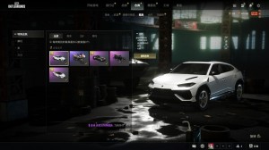 兰博基尼SUV马丁白色迈凯伦白战神三级恶魔ACE朱雀破碎AK韦神枫叶孙兴愍M4大衣红鞋红面巾_绝地求生_全区_全服